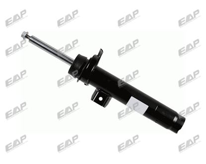 Picture of Shock Absorber Front Both BM F30